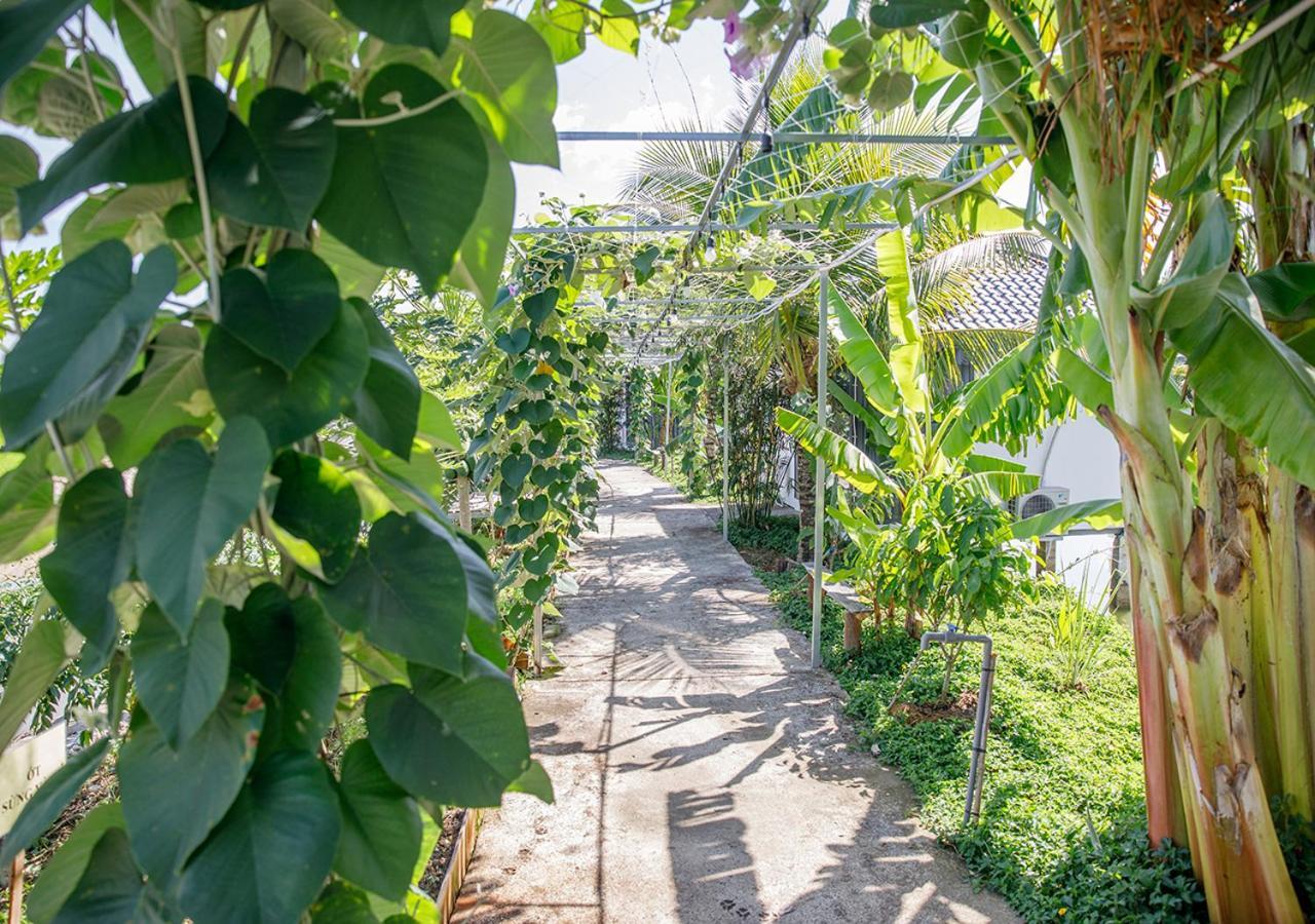 Lua Farmstay Ba Ria Dış mekan fotoğraf